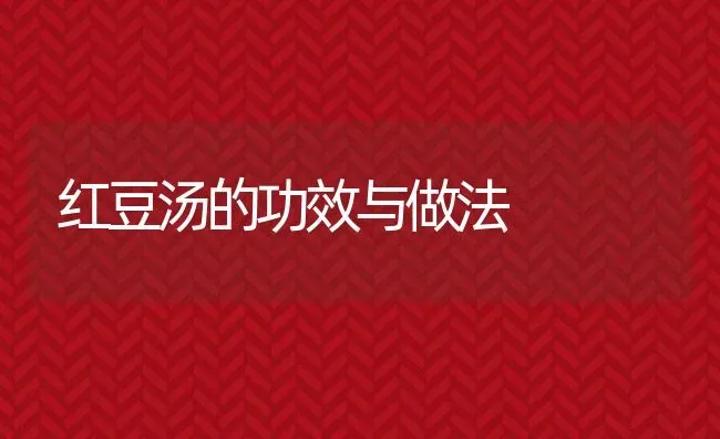 红豆汤的功效与做法 | 养殖资料投稿