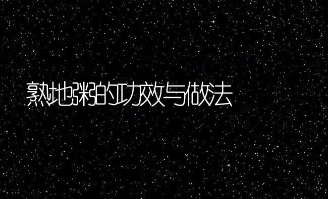 熟地粥的功效与做法 | 养殖资讯