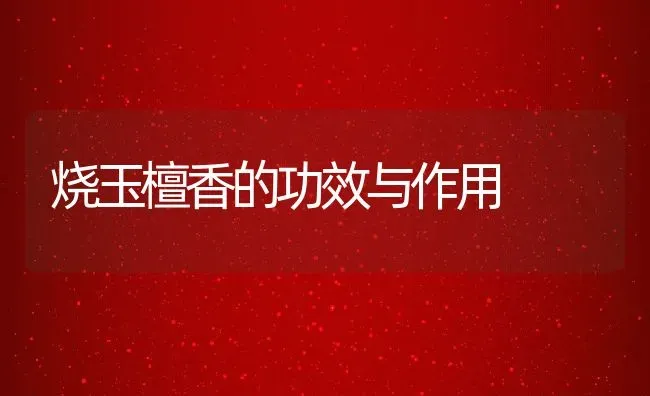 烧玉檀香的功效与作用 | 养殖资料投稿