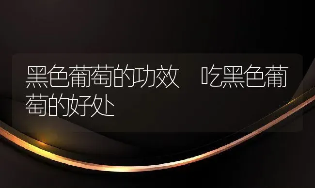 黑色葡萄的功效 吃黑色葡萄的好处 | 养殖资料投稿