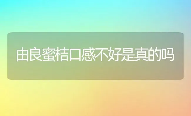 由良蜜桔口感不好是真的吗 | 养殖资讯