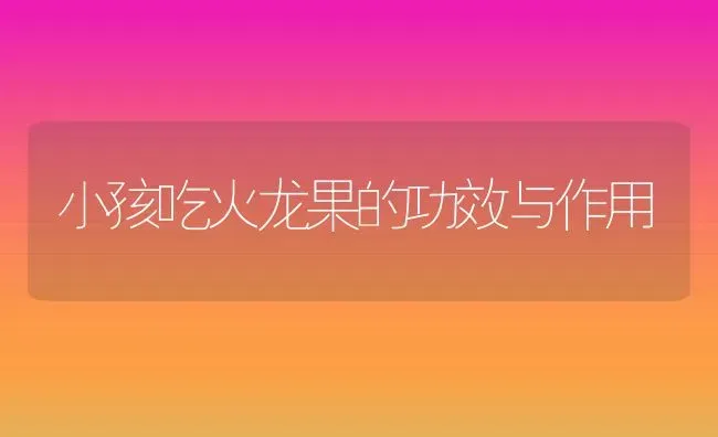 小孩吃火龙果的功效与作用 | 养殖资料投稿
