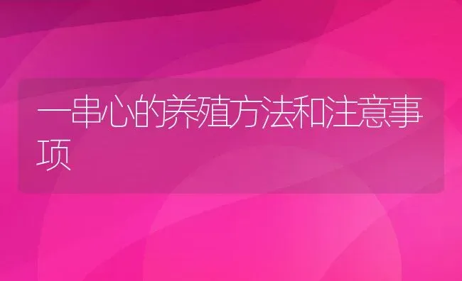 一串心的养殖方法和注意事项 | 养殖资料投稿