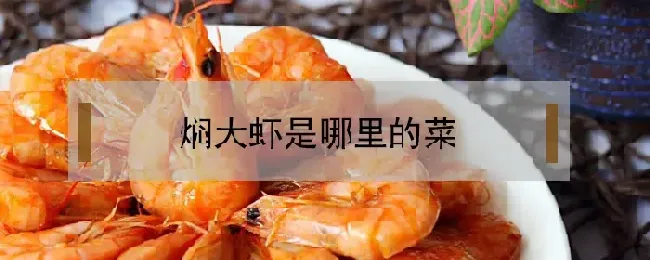 焖大虾是哪里的菜