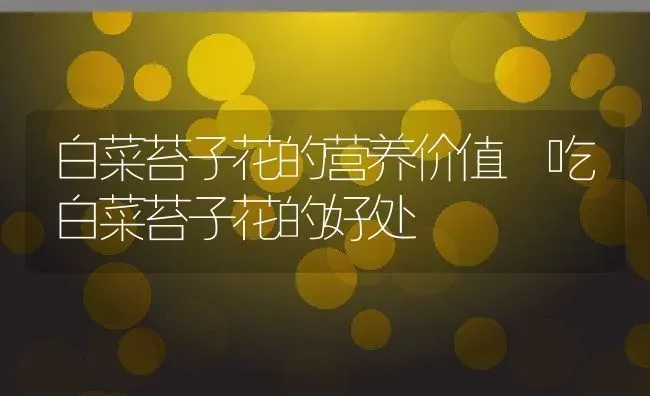 白菜苔子花的营养价值 吃白菜苔子花的好处 | 养殖资料投稿