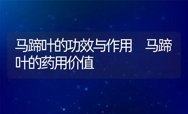 马蹄叶的功效与作用 马蹄叶的药用价值 | 养殖资料投稿