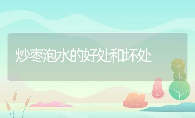 炒枣泡水的好处和坏处 | 养殖资料投稿