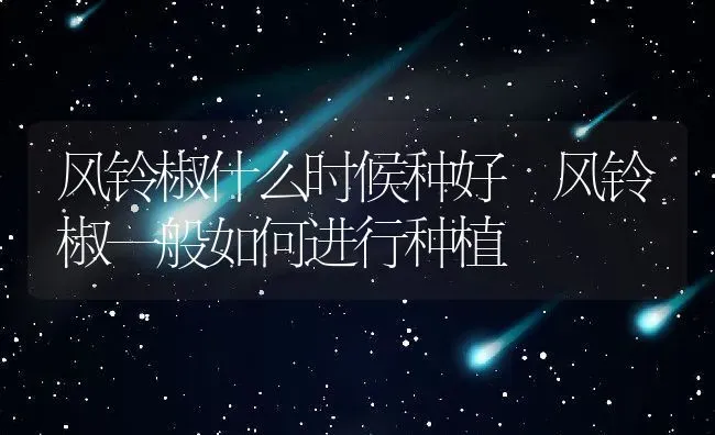风铃椒什么时候种好 风铃椒一般如何进行种植 | 养殖资料投稿