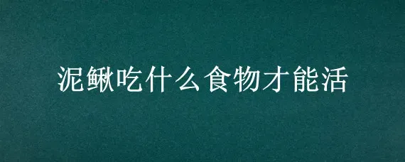 泥鳅吃什么食物才能活