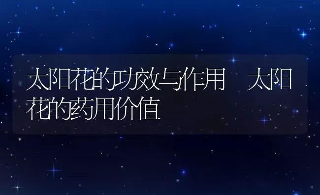 太阳花的功效与作用 太阳花的药用价值 | 养殖资料投稿