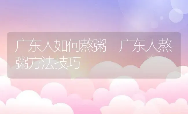 广东人如何熬粥 广东人熬粥方法技巧 | 养殖资讯