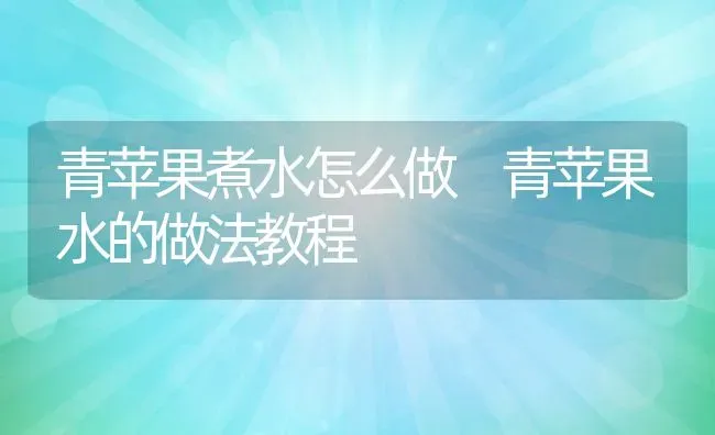 青苹果煮水怎么做 青苹果水的做法教程 | 养殖资料投稿