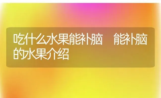 吃什么水果能补脑 能补脑的水果介绍 | 养殖资料投稿