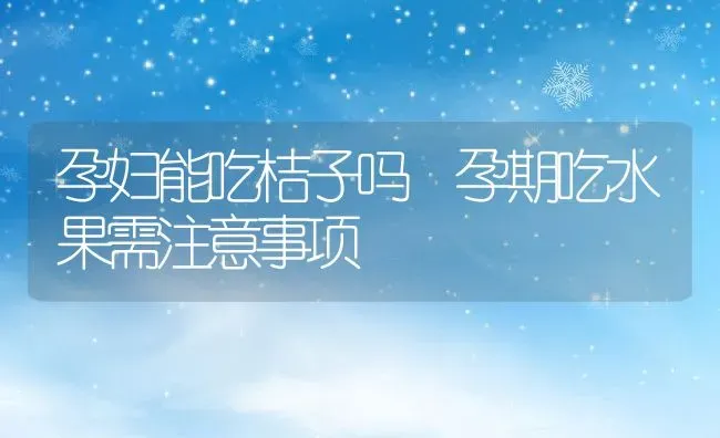 孕妇能吃桔子吗 孕期吃水果需注意事项 | 养殖资料投稿