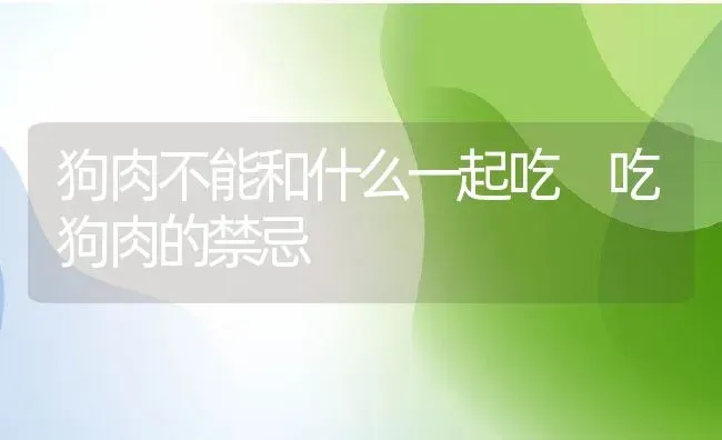 狗肉不能和什么一起吃 吃狗肉的禁忌 | 养殖资料投稿