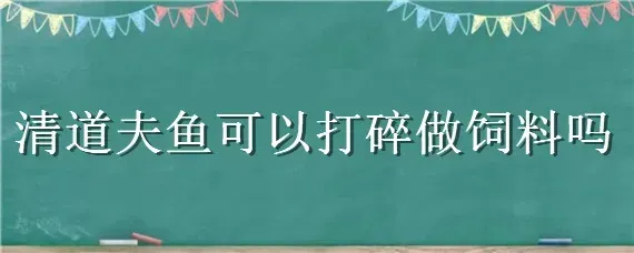 清道夫鱼可以打碎做饲料吗