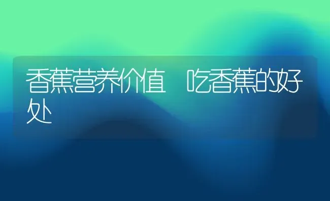 香蕉营养价值 吃香蕉的好处 | 养殖资料投稿