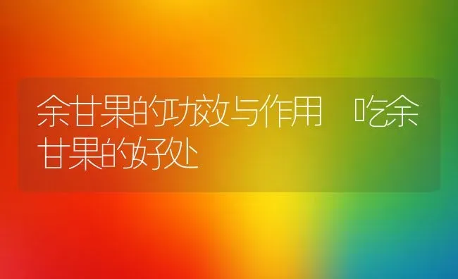 余甘果的功效与作用 吃余甘果的好处 | 养殖资料投稿