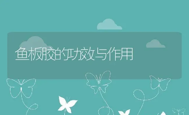 鱼板胶的功效与作用 | 养殖资料投稿