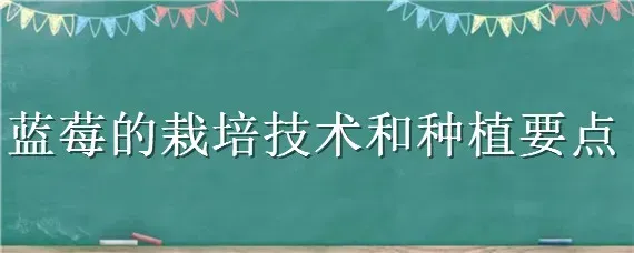 蓝莓的栽培技术和种植要点