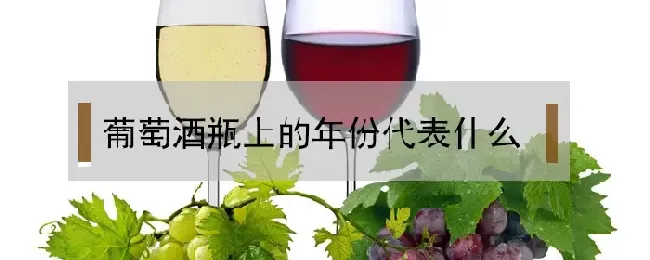 葡萄酒瓶上的年份代表什么