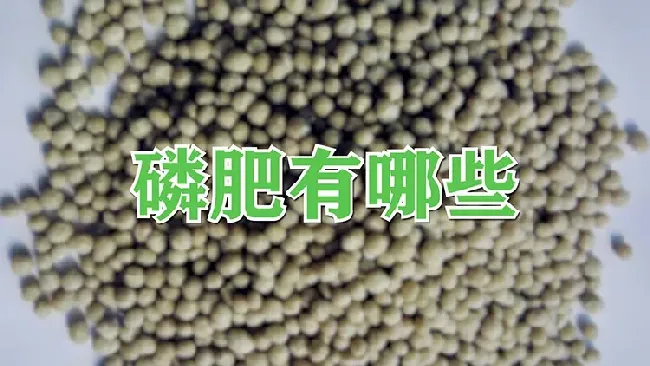 磷肥有哪些