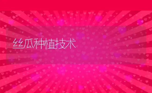 丝瓜种植技术 | 养殖资料投稿