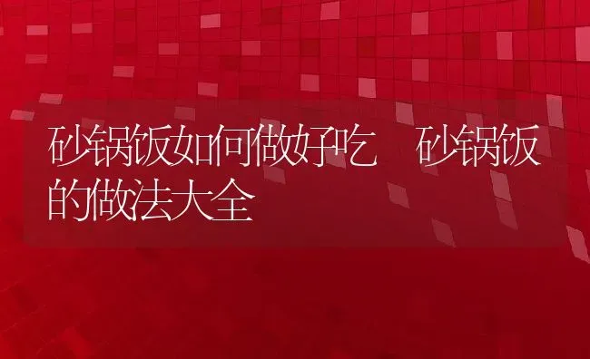 砂锅饭如何做好吃 砂锅饭的做法大全 | 养殖资讯