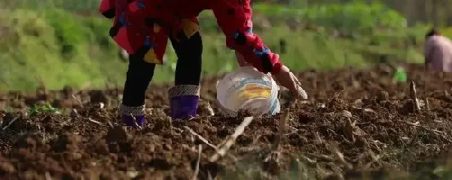 矿源黄腐酸钾的混施禁忌黄腐酸钾是什么东西