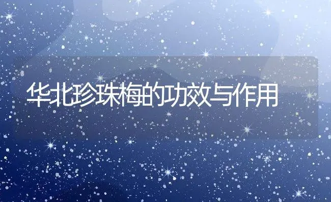 华北珍珠梅的功效与作用 | 养殖资料投稿