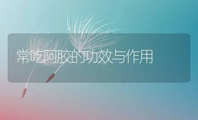 常吃阿胶的功效与作用 | 养殖资料投稿