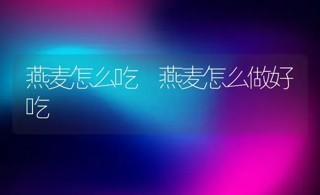 燕麦怎么吃 燕麦怎么做好吃 | 养殖资讯