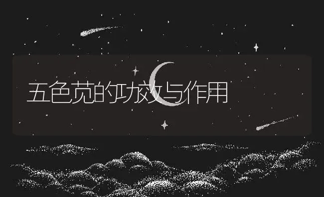 五色苋的功效与作用 | 养殖资料投稿