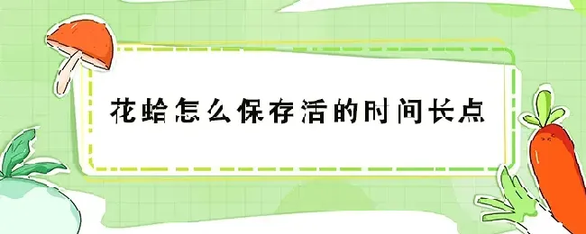 花蛤怎么保存活的时间长点