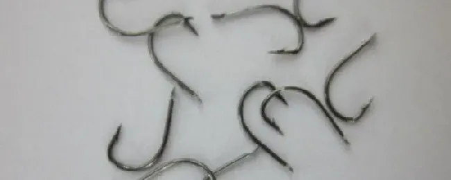 伊豆鱼钩适合钓的鱼种有哪些？