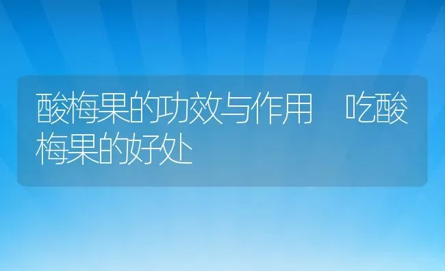 酸梅果的功效与作用 吃酸梅果的好处 | 养殖资料投稿