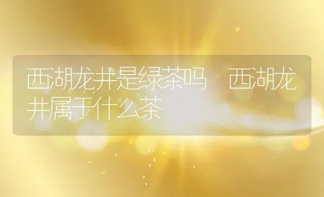 西湖龙井是绿茶吗 西湖龙井属于什么茶 | 养殖资料投稿