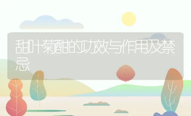甜叶菊酣的功效与作用及禁忌 | 养殖资料投稿