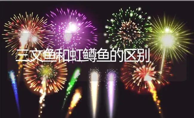 三文鱼和虹鳟鱼的区别 | 养殖资料投稿