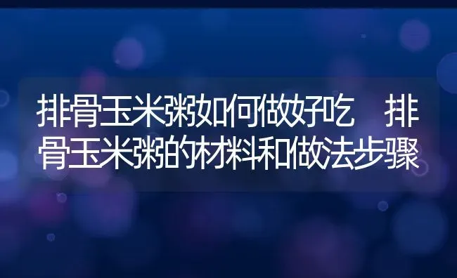 排骨玉米粥如何做好吃 排骨玉米粥的材料和做法步骤 | 养殖资讯