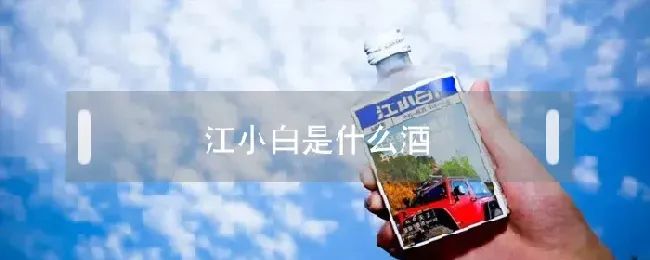 江小白是什么酒