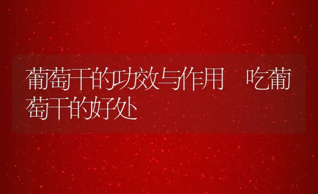 葡萄干的功效与作用 吃葡萄干的好处 | 养殖资料投稿