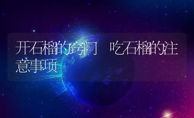 开石榴的窍门 吃石榴的注意事项 | 养殖资料投稿