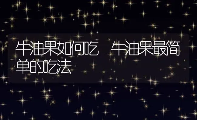 牛油果如何吃 牛油果最简单的吃法 | 养殖资料投稿