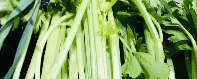 芹菜出苗后管理技术