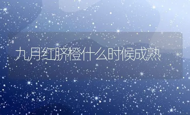 九月红脐橙什么时候成熟 | 养殖资讯