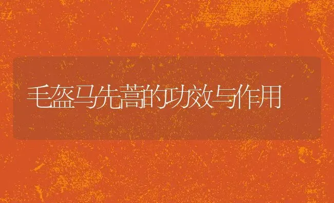 毛盔马先蒿的功效与作用 | 养殖资料投稿