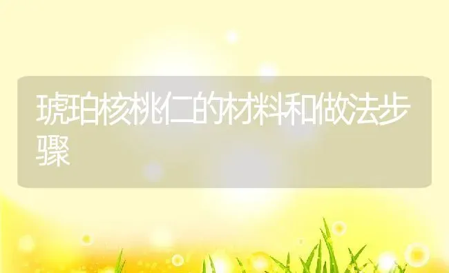 琥珀核桃仁的材料和做法步骤 | 养殖资料投稿