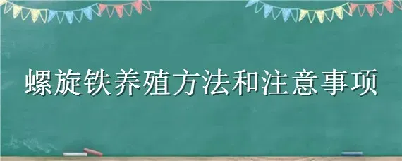 螺旋铁养殖方法和注意事项