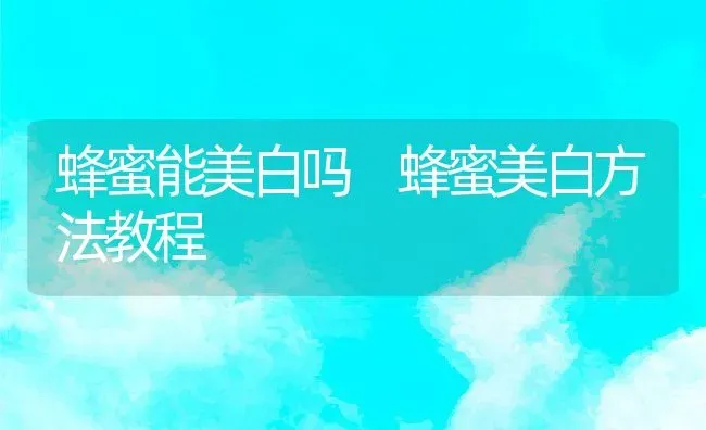 蜂蜜能美白吗 蜂蜜美白方法教程 | 养殖资料投稿